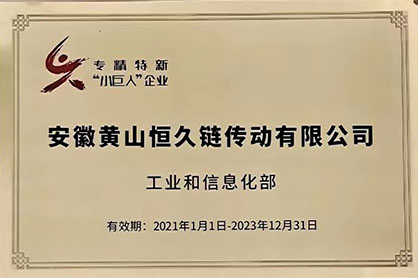 黄山恒久顺利通过国家专精特新“小巨人”企业复核
